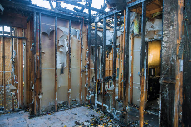 Professional Smoke Damage Removal technician working in Clear Lake, SD